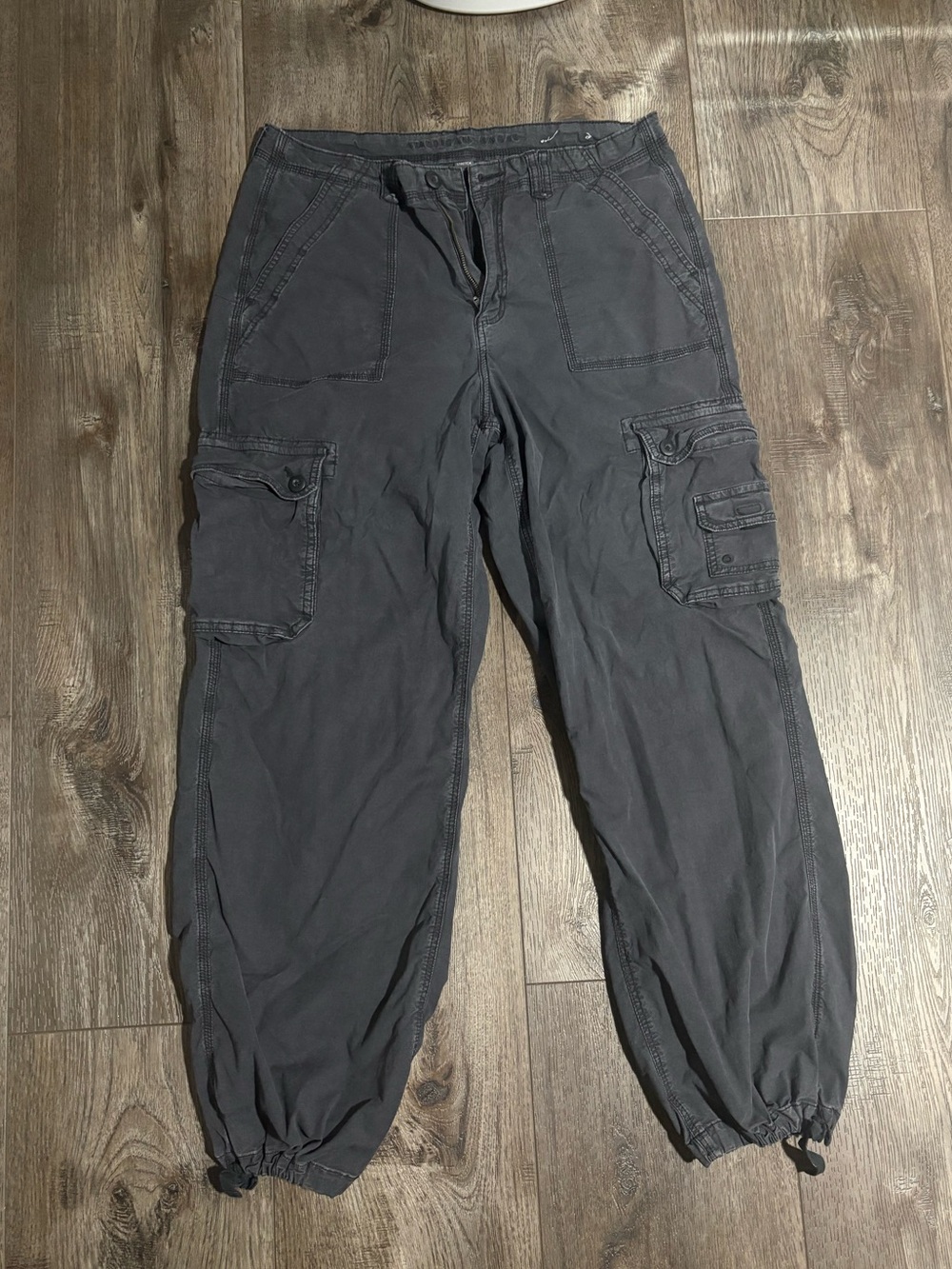 American Eagle Outfitters Parachute Cargo Pants